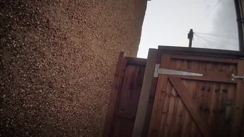 Snapshot of eatmypie69 chatting on 02-06-26, 11:24 Nadia Ferreira online show from 02-06-26, 11:24