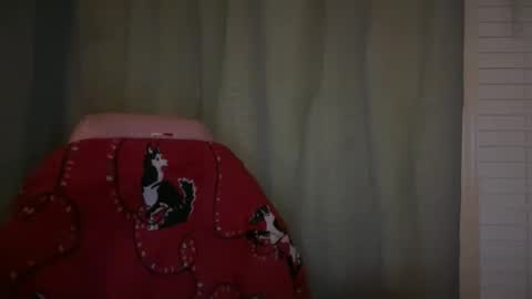 americnbarbie online show from 11-21-25, 02:21