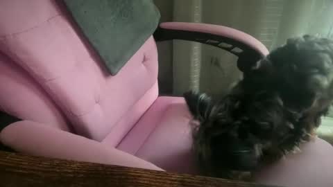 americnbarbie online show from 06-24-26, 02:38