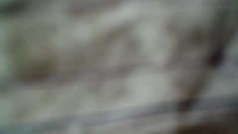 eddfox001 online show from 06-14-26, 04:47