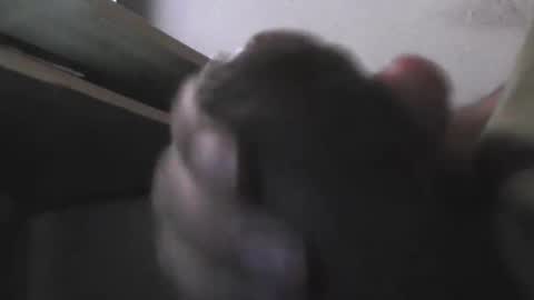 EddiesCock69 online show from 11-05-25, 09:20