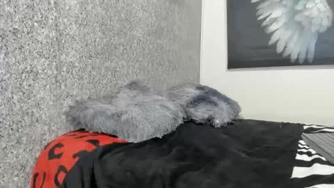 Snapshot of edi_stwix18 chatting on 01-13-26, 03:39 edi_stwix18 online show from 01-13-26, 03:39