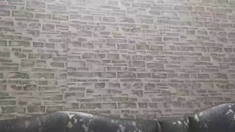 Snapshot of edithmanning chatting on 12-12-24, 06:47 edithmanning online show from 12-12-24, 06:47