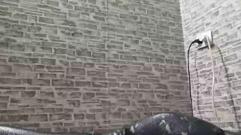 Snapshot of edithmanning chatting on 03-06-25, 03:45 edithmanning online show from 03-06-25, 03:45