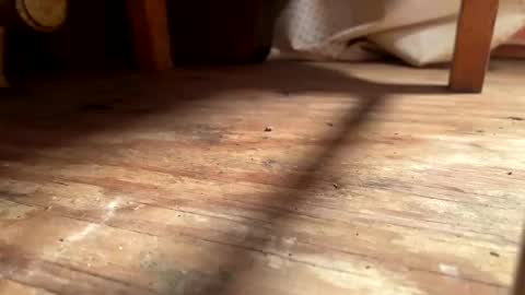 Snapshot of ehproject chatting on 11-01-25, 08:27 ehproject online show from 11-01-25, 08:27