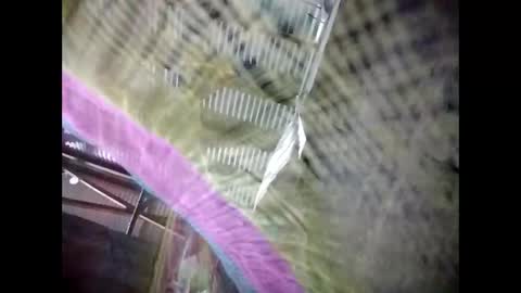 Snapshot of eirma7991 chatting on 02-25-26, 10:30 eirma7991 online show from 02-25-26, 10:30