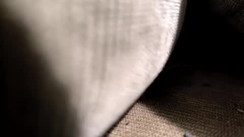 el_taringuero online show from 06-07-26, 02:59