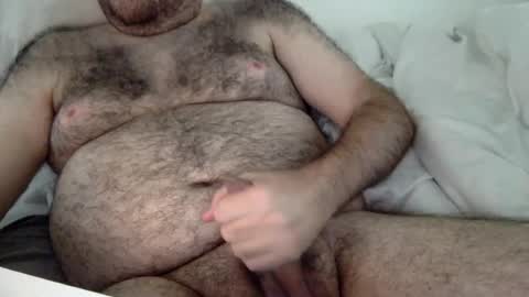 elabear online show from 08-02-26, 04:16