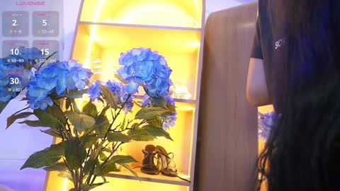 Elasummeer online show from 11-25-25, 11:54