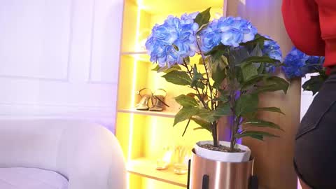 Elasummeer online show from 01-14-26, 12:00