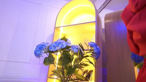 Elasummeer online show from 01-15-26, 11:59