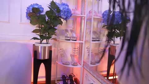 Elasummeer online show from 02-12-26, 12:00