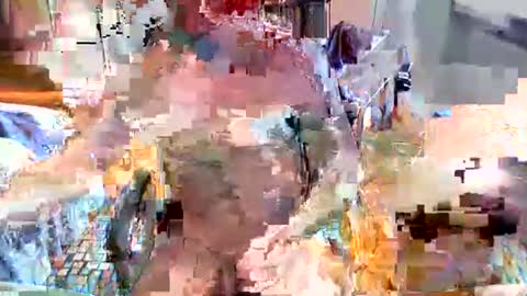 Snapshot of elbasca chatting on 02-18-26, 12:12 elbasca online show from 02-18-26, 12:12