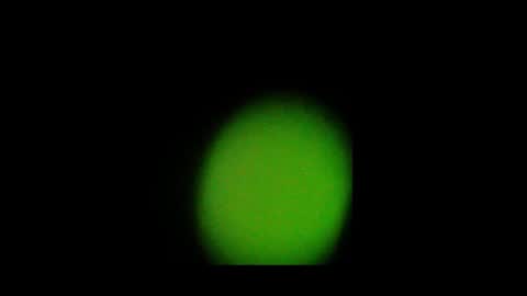 Nando online show from 10-24-25, 02:02