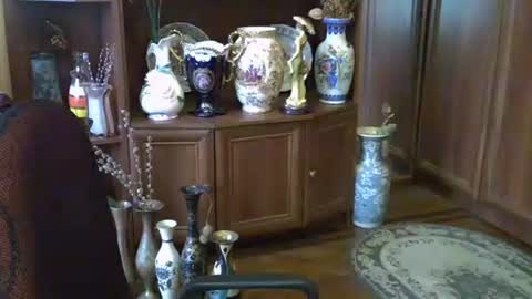 ElenaZed online show from 10-13-25, 11:43