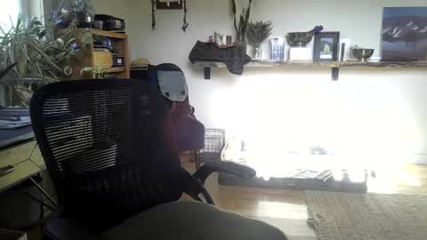 Snapshot of elephantfox chatting on 06-22-26, 02:36 fox online show from 06-22-26, 02:36