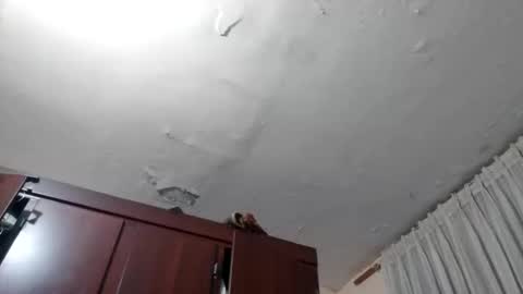 Snapshot of elianis598477 chatting on 02-10-26, 10:08 elianis598477 online show from 02-10-26, 10:08
