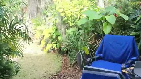 Snapshot of eliberator chatting on 01-18-25, 07:58 eliberator online show from 01-18-25, 07:58