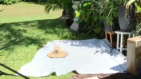 Snapshot of eliberator chatting on 09-21-25, 05:03 eliberator online show from 09-21-25, 05:03