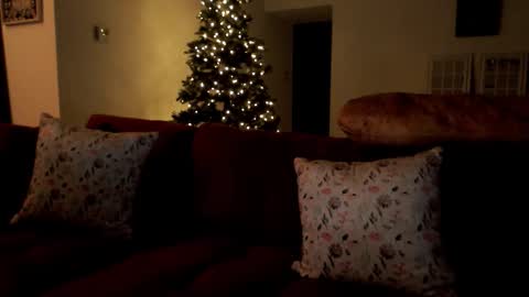 Snapshot of elinah_hanile chatting on 12-02-25, 10:53 Elinah online show from 12-02-25, 10:53