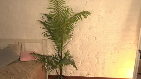 Snapshot of elliefrost chatting on 03-11-25, 03:26 elliefrost online show from 03-11-25, 03:26