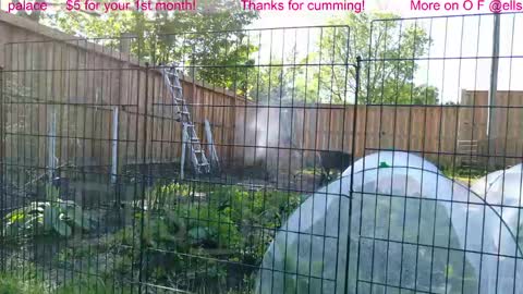 Ella Bella Bo Bella online show from 06-01-26, 01:35