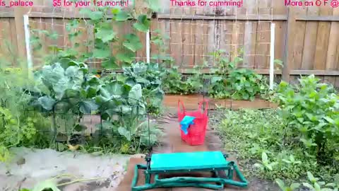 Ella Bella Bo Bella online show from 07-22-26, 01:47