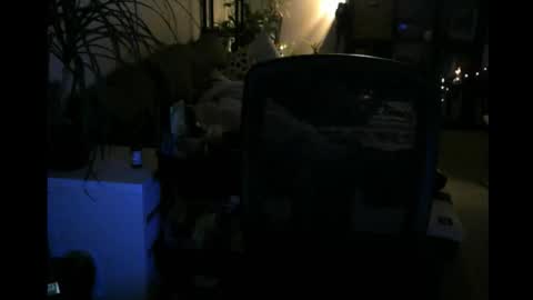 Snapshot of elmetatepeta chatting on 03-09-26, 02:48 ElMetaTeDa online show from 03-09-26, 02:48