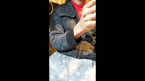 Snapshot of elvergg1 chatting on 01-19-26, 07:12 elvergg1 online show from 01-19-26, 07:12