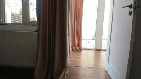 Ely online show from 04-22-26, 05:54