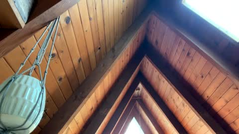 popalottapuss - puddin tits - daddy - buttercup - bonfire - Mrs. Fuck Yea - hibeams - honey buns - online show from 04-13-26, 06:35