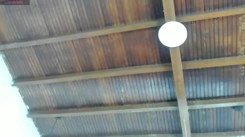 Emily  online show from 04-30-26, 11:05