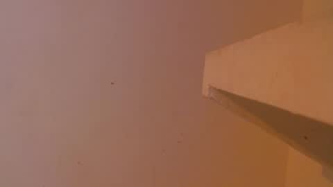 emily308876 online show from 05-05-26, 12:35