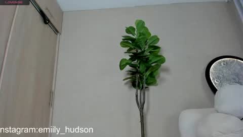 independet model online show from 06-30-26, 09:49