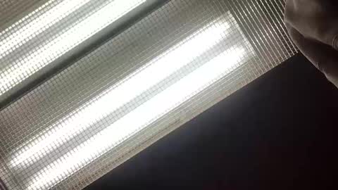 emilyclear online show from 05-14-26, 08:21