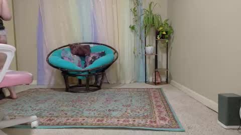 Snapshot of emilyshaze chatting on 10-24-25, 06:26 emily haze online show from 10-24-25, 06:26