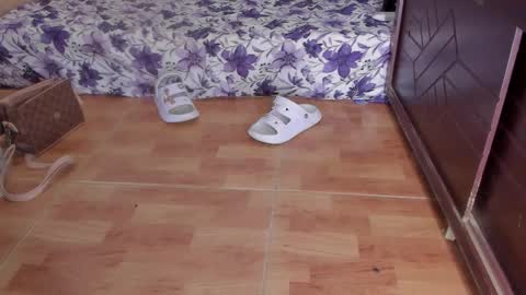 whises lits        online show from 10-23-25, 02:16