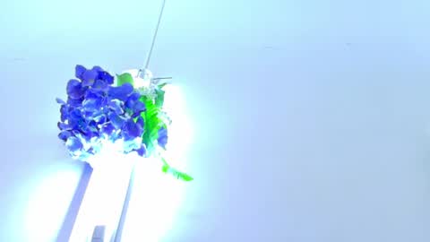 Snapshot of emmawuilian chatting on 07-18-26, 11:47 hi im emmalina welcome to your happy place online show from 07-18-26, 11:47