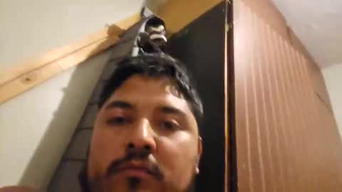 engineer_model_2022 online show from 03-01-26, 04:25