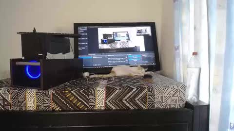 Snapshot of eolicasextwo chatting on 12-18-25, 09:10 Eolicasextwo online show from 12-18-25, 09:10