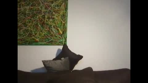 Snapshot of erik_69_69 chatting on 10-18-25, 05:14 erik_69_69 online show from 10-18-25, 05:14