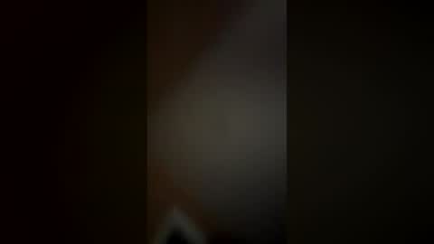 Snapshot of erotickmonkey chatting on 07-21-26, 01:08 Butt Plugg play online show from 07-21-26, 01:08