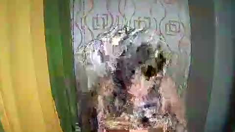 Ervana online show from 02-11-26, 05:07