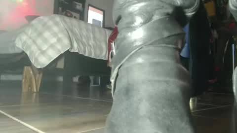 Eskela911 online show from 10-06-25, 07:44