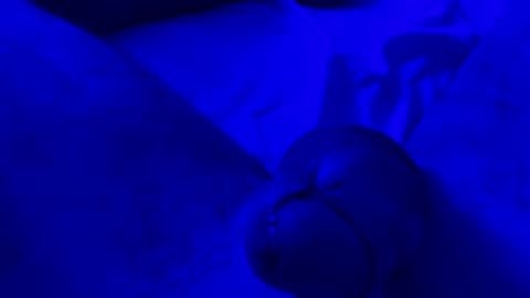 Snapshot of espltd0666 chatting on 04-13-26, 06:52 Chpala online show from 04-13-26, 06:52