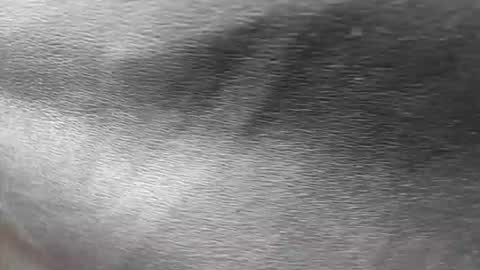 Snapshot of ethan_anavrin chatting on 11-30-25, 06:56 greetings sergi online show from 11-30-25, 06:56