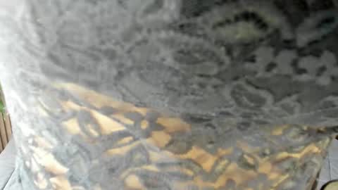 Snapshot of evaa_campbell chatting on 04-15-26, 02:24 Eva online show from 04-15-26, 02:24