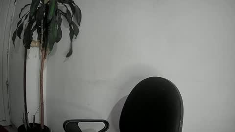 Snapshot of evacollins12 chatting on 12-02-24, 12:52 evacollins12 online show from 12-02-24, 12:52