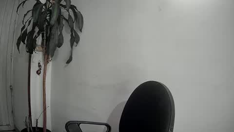 Snapshot of evacollins12 chatting on 12-09-24, 01:40 evacollins12 online show from 12-09-24, 01:40