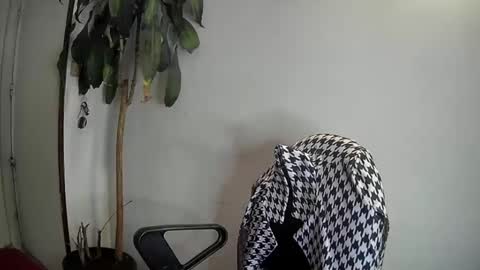 Snapshot of evacollins12 chatting on 01-07-25, 03:46 evacollins12 online show from 01-07-25, 03:46